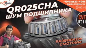 Вариатор QR025CHA с шумом подшипника разбираем и смотрим что случилось