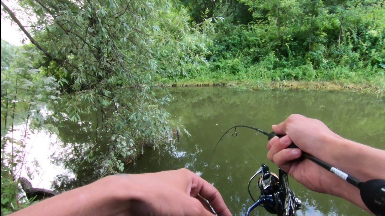 Мормышинг в Борисово На Городне.#мормышинг#наноджиг #fishing смотреть онлайн