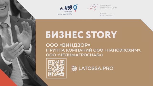 Бизнес story ООО "ВИНДЗОР" (ГРУППА КОМПАНИИ ООО "НАНОЭКОХИМ", ООО "ЧЕЛНЫАГРОСНАБ" смотреть онлайн