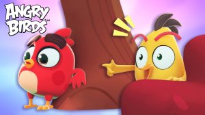 Angry Birds | Кто лучше всех умеет прятаться и красться?! 🤫