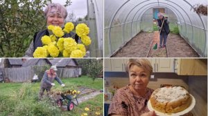 В ТЕПЛИЦЕ И НА ГРЯДКАХ ПОРЯДОК, А У МЕНЯ УЖЕ ГОТОВА ШАРЛОТКА В МУЛЬТИВАРКЕ.