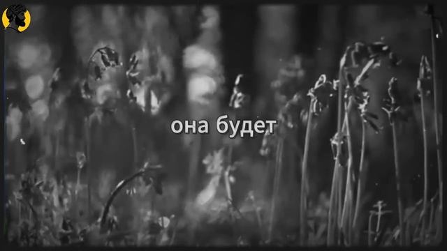 (56 УРОК) Почему она отталкивает тебя, когда ты ей больше всего нужен СТОИЦИЗМ смотреть онлайн