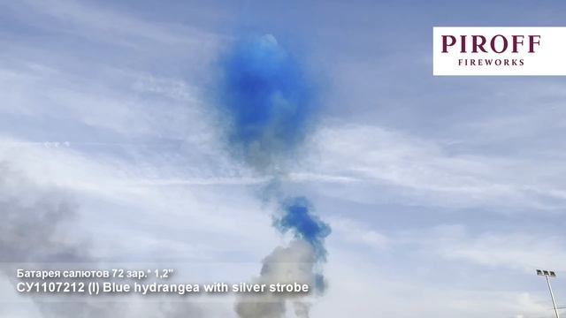 СУ1107212 (I) Blue hydrangea with silver strobe смотреть онлайн