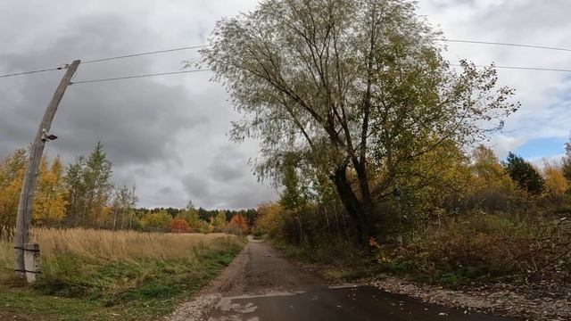 После моря на дачу. Тоже неплохо! смотреть онлайн