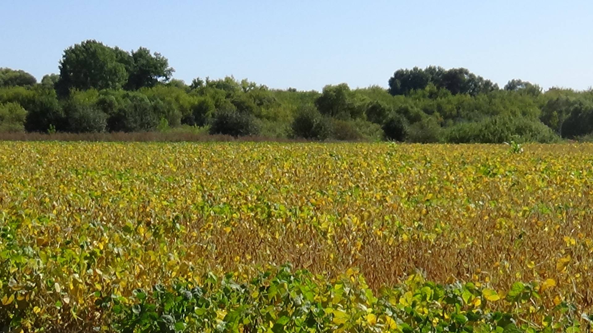 карта прохоровского района белгородской области подробная с деревнями смотреть онлайн