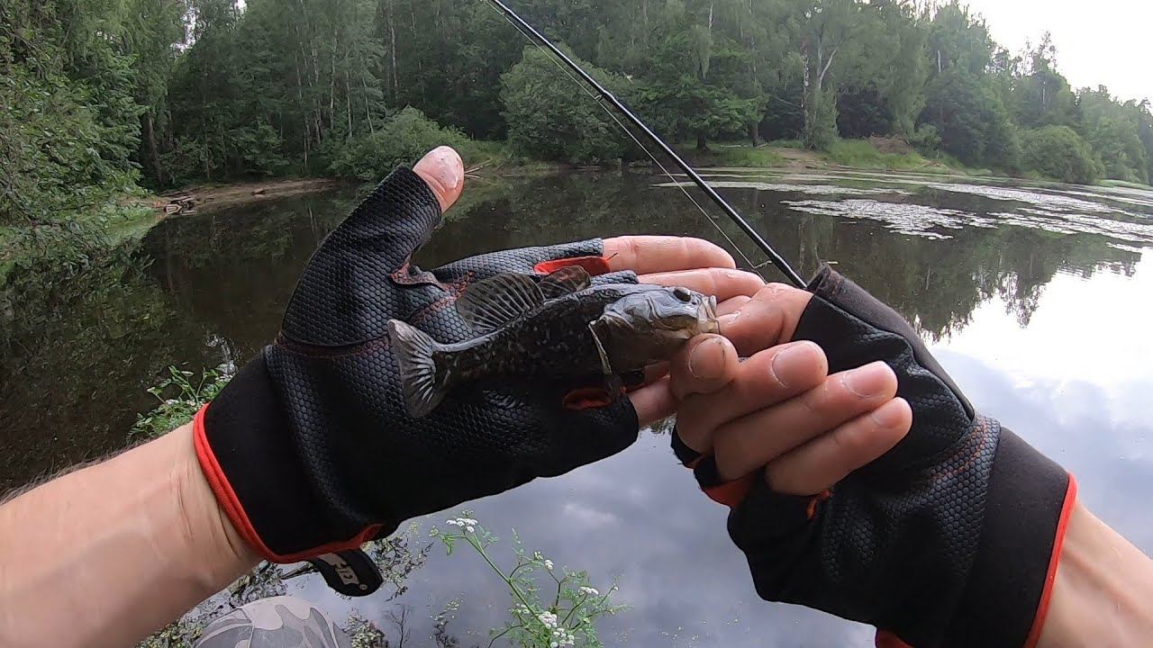 РАЗВЕДКА ЗАБЫТОГО МЕСТА.В Поисках Рыбы.#мормышинг смотреть онлайн