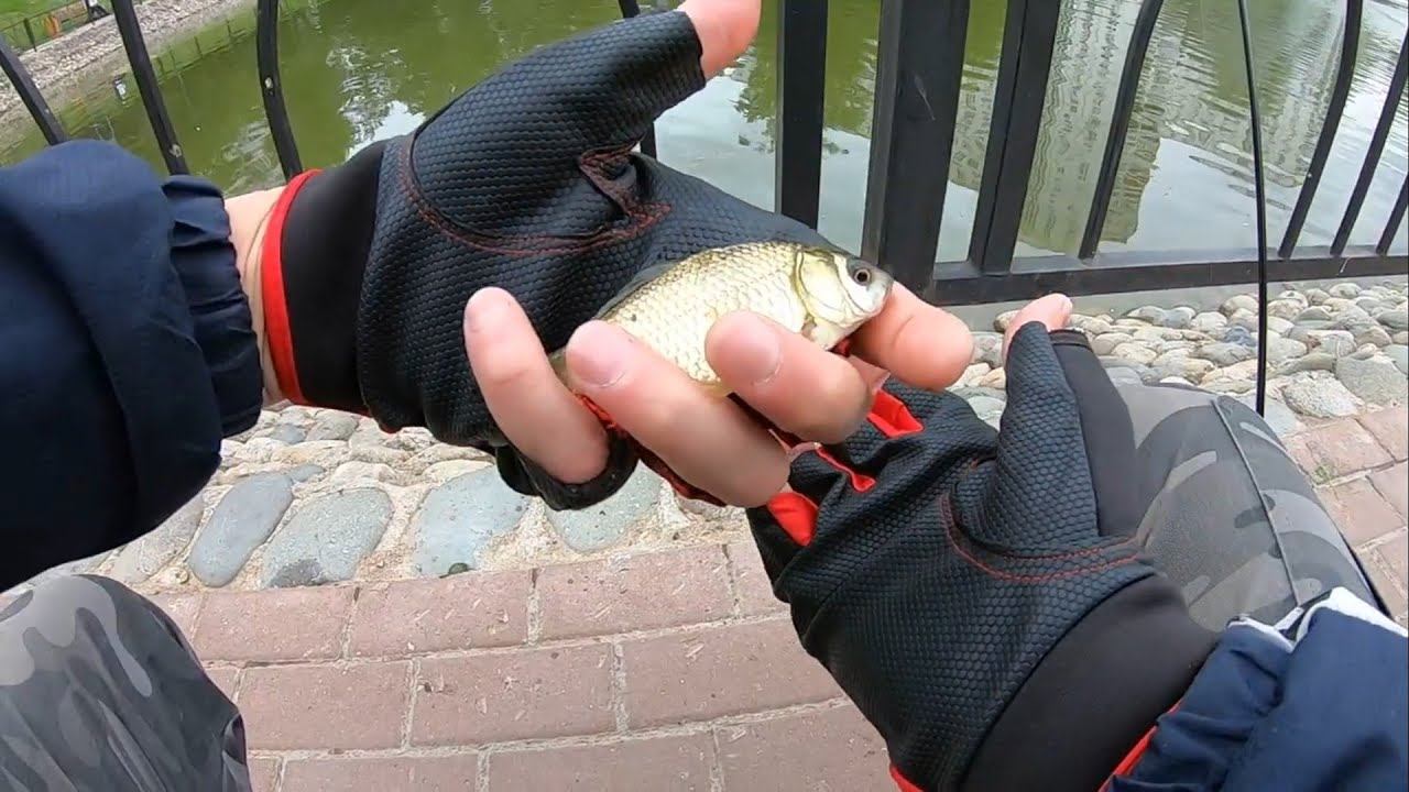 КАРАСЬ В ПРУДУ С ФОНТАНАМИ.#мормышинг #рыбалка смотреть онлайн