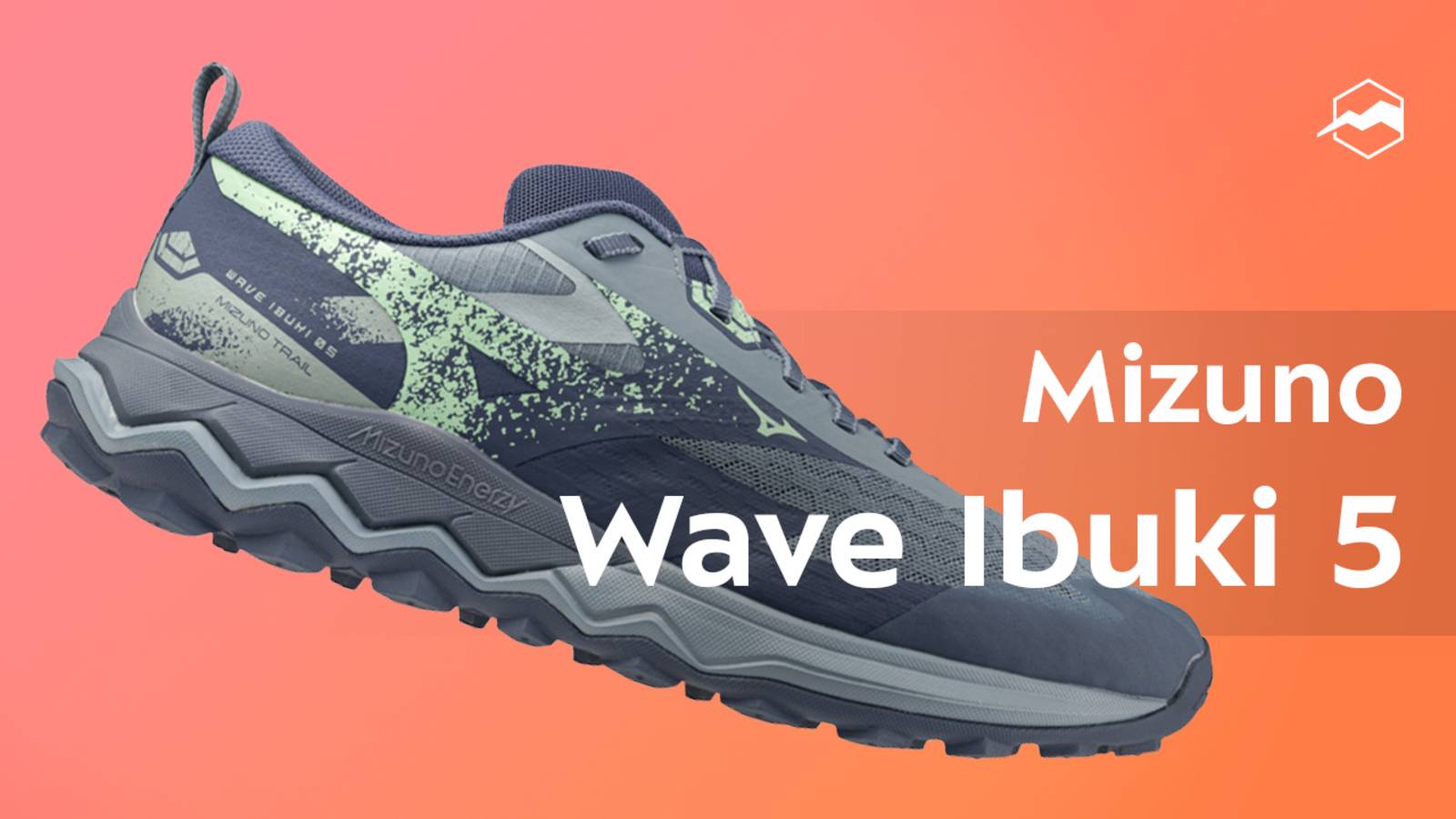 Кроссовки мужские Mizuno Wave Ibuki 5 смотреть онлайн
