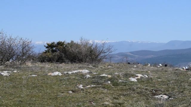 DSC_0436 смотреть онлайн
