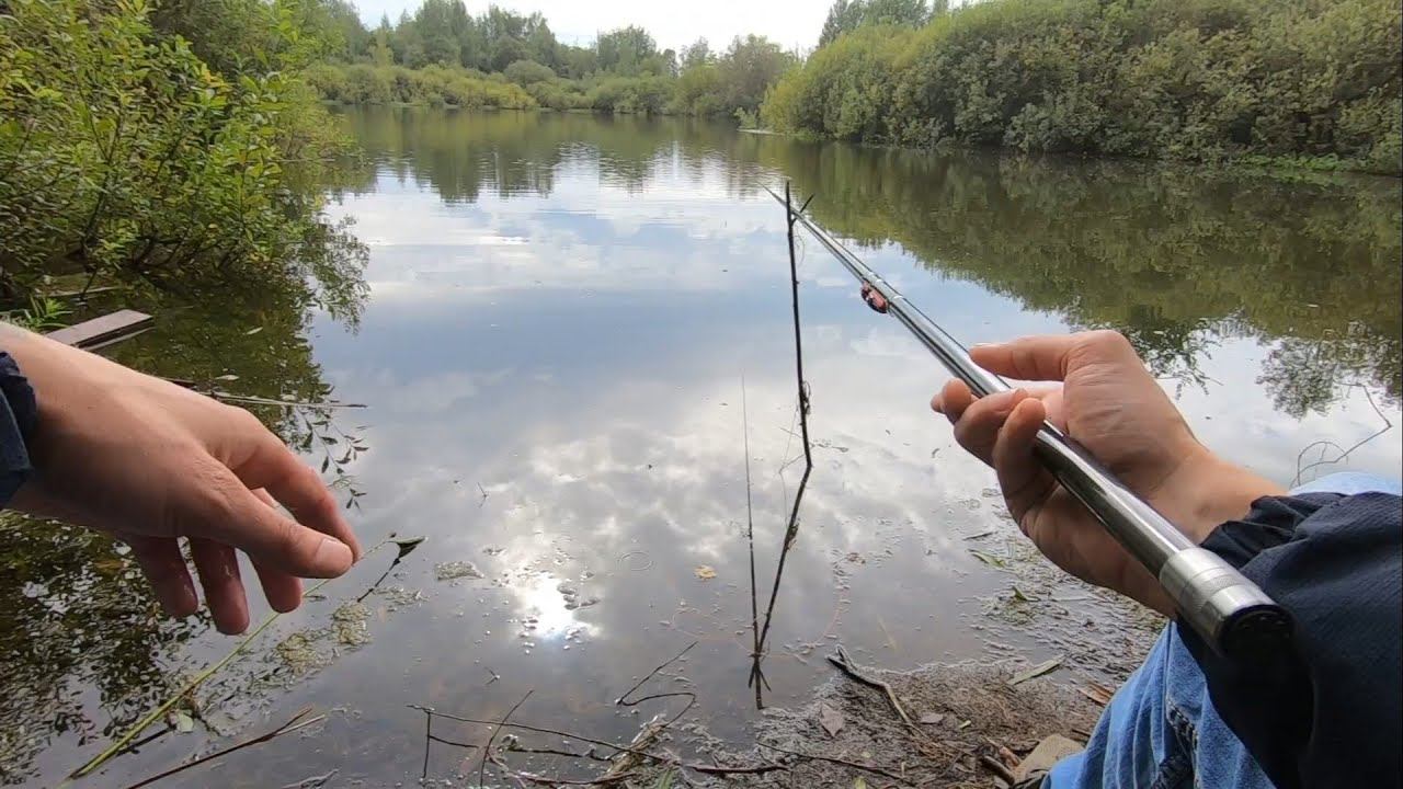 Рыбалка как в Детстве. Карась на Поплавок и Тесто. Маховая Удочка.#рыбалка#карась#маховая смотреть онлайн