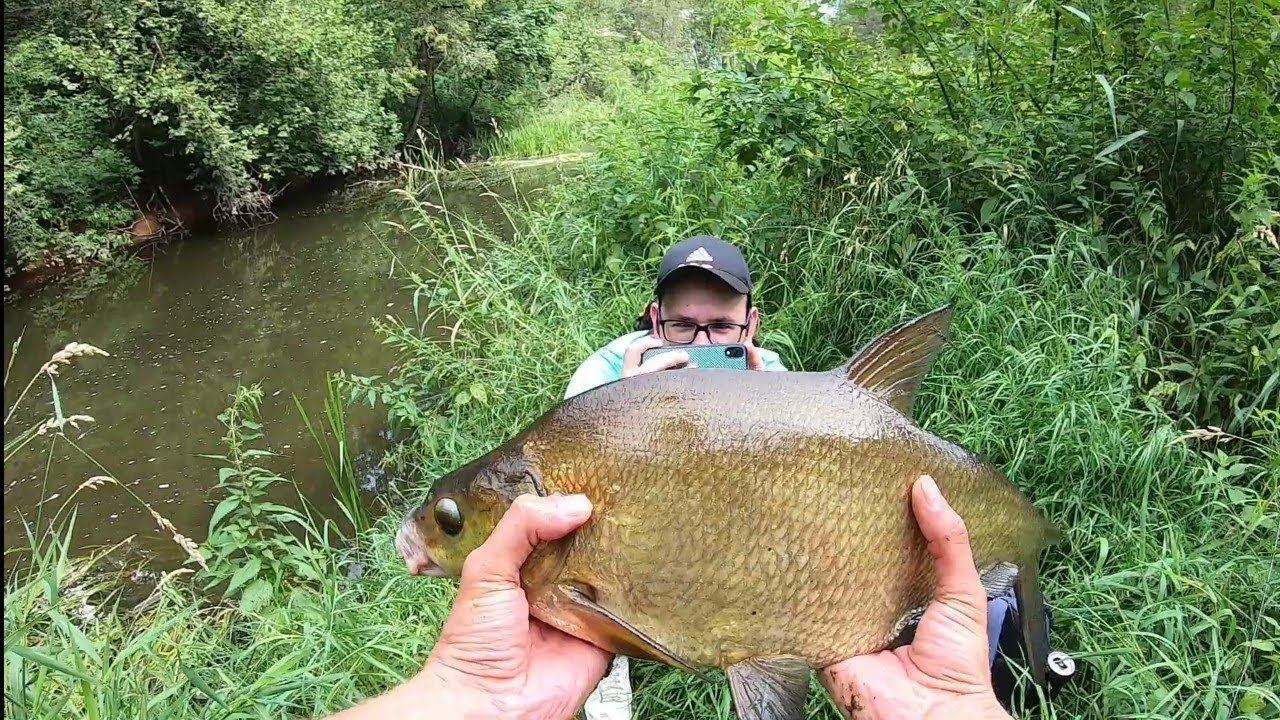 Трофейные Лещи на Мормышку в Микро-Речке!!! Рекорд Побит!!!#мормышинг#fishing#наноджиг#рыбалка смотреть онлайн