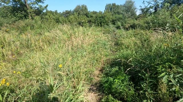 Люлех, Теза, Клязьма. Часть девятая. смотреть онлайн