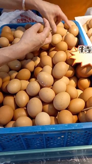 Секреты Китайских яиц смотреть онлайн