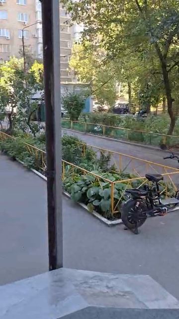 9948801 смотреть онлайн