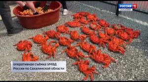 "Вести. Безопасность". Браконьерство