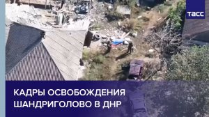 Кадры освобождения Шандриголово в ДНР