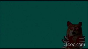 Эдит Кибер Ася Вольт меме Windows 7 чит описание