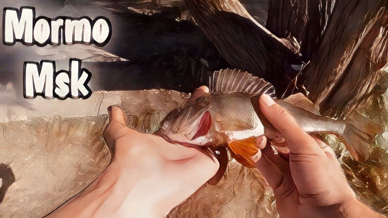 МОЙ ПЕРВЫЙ ТРОФЕЙ НА МОРМЫШКУ. #мормоны #мормышка #мормышинг#рыбалка смотреть онлайн