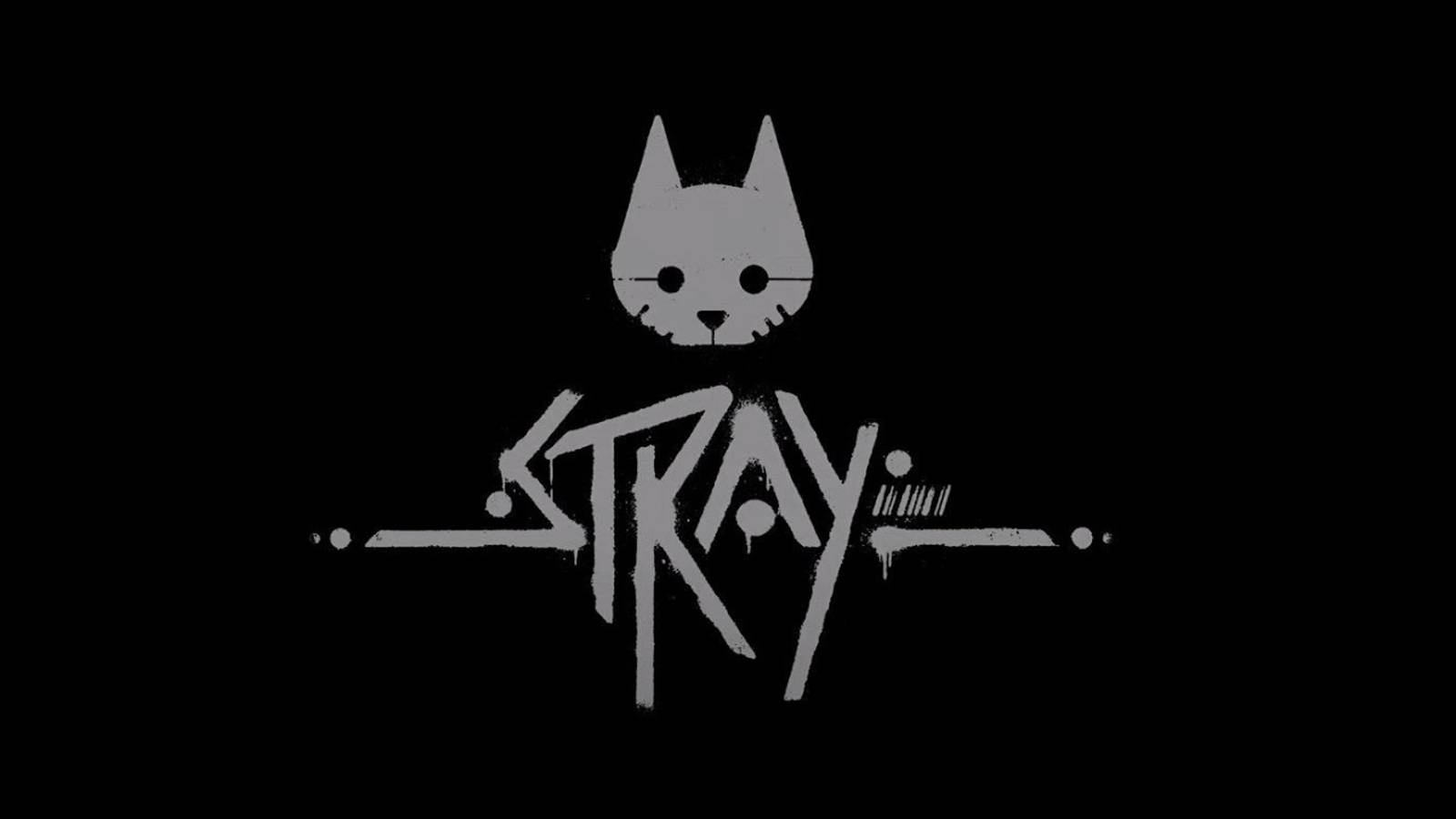 Коты рулят #3 \ Stray