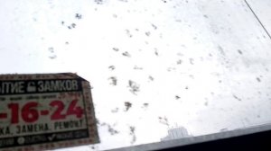 🔥РЕДКОСТЬ! Пассажирский лифт NLM EVOLUTION 2022 г. в. V - 1 м/с Q - 400 КГ