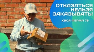 Хвоя Ферма 78: проверка питомника и честный отзыв