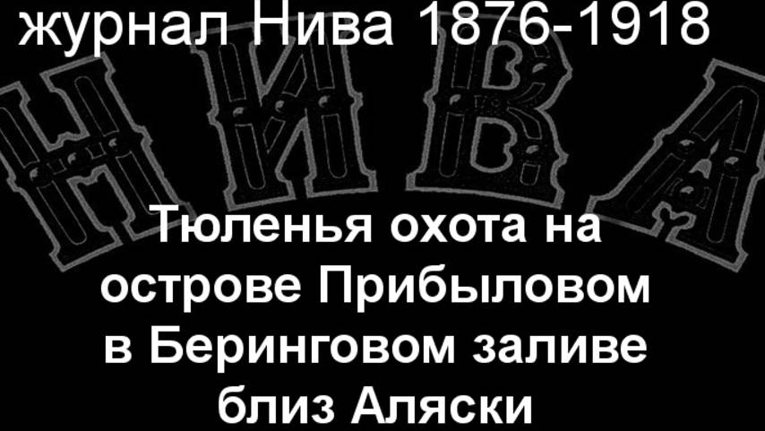 Тюленья охота на острове Прибыловом в Беринговом заливе . описание журнал Нива 1876-1918 смотреть онлайн