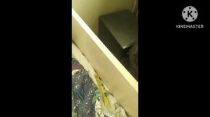 корова и заяц грустный вырезанный фрагмент 2024 года