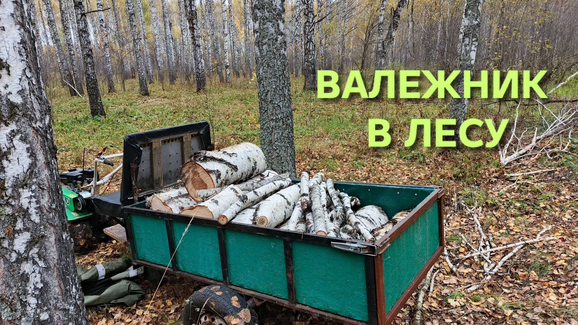 Какой валежник можно собирать Отправился в лес на мотоблоке за дровами смотреть онлайн