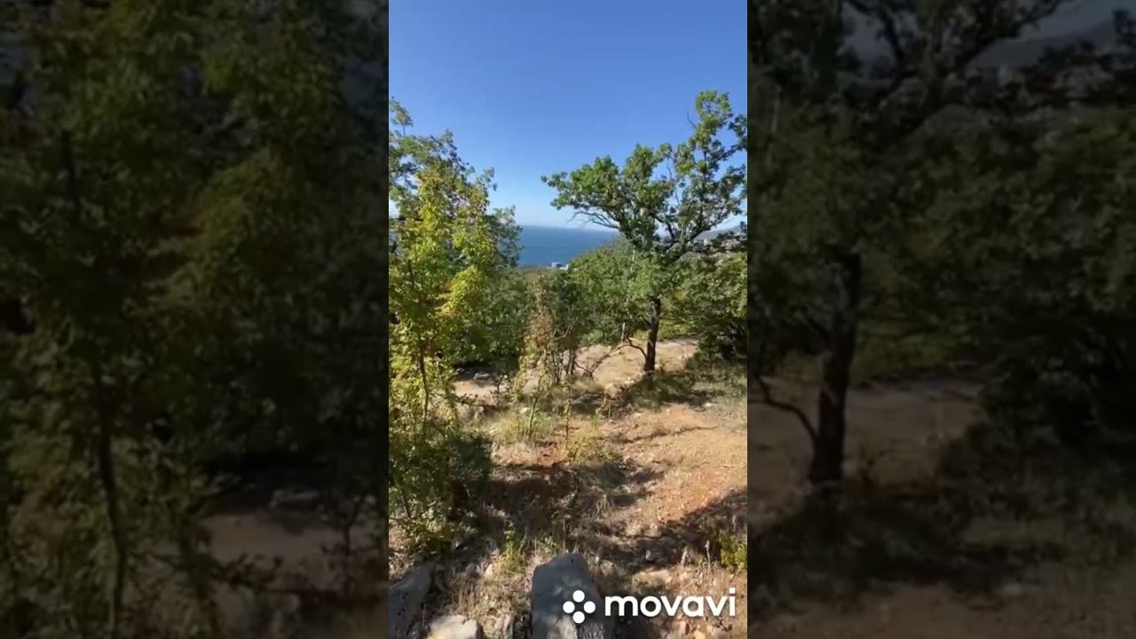 Обзор земельного участка 10.5 соток на продажу в Ялте район Кореиз смотреть онлайн