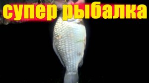 «Рыбалка на сазана и карася. На поплавок. Отличный клёв»