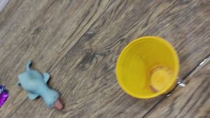 школа 👩🏫







(столовка)