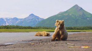 #Коран#АльАнам#СамыеКрасивыеМеста#Relaxation##Islam#Quran#AlAnam#Minshawiy #4кВидео#14часть#