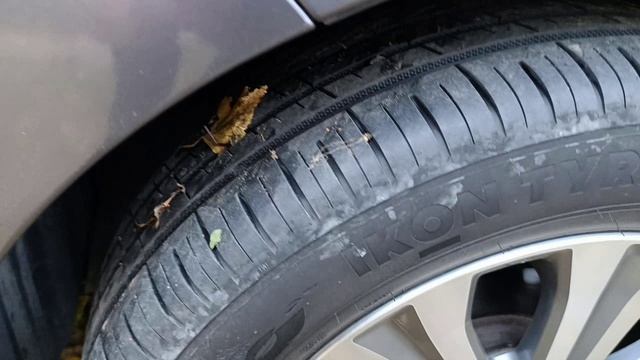 Григораш Сергей