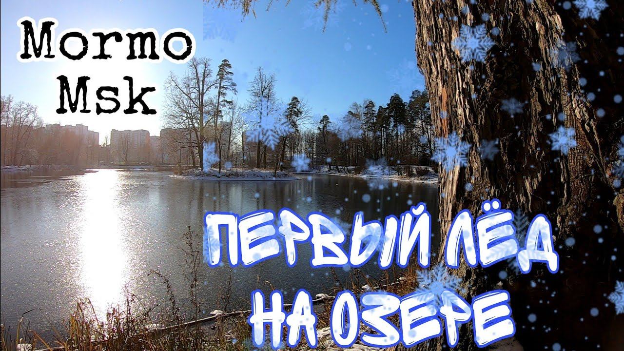 МОРМЫШИНГ НА ЛЬДУ.Опять Тишина.Камера Села. #мормышинг#мормоны#рыбалка#мормышка смотреть онлайн