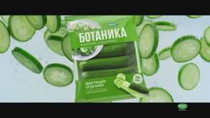 Хрустящие огурчики "Ботаника": освежает, хрустит, качает