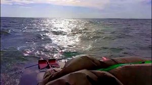 На катамаране по островам Обского моря