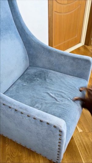 АРИАНА БУЙСТВУЕТ