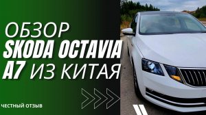 Skoda Octavia A7 - обзор машины из Китая. Плюсы и минусы. Честный отзыв после месяца эксплуатации.