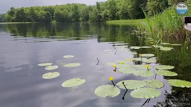 2024_06_07-09 - Первое клубное путешествие на озеро Долгое (Беларусь) смотреть онлайн