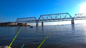 ОНО ГНЁТ... УДОЧКУ В ВОДУ!! РЫБАЛКА НА САЗАНА ОСЕНЬЮ