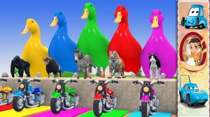 Мультики для детей. Длинная горка со слоном, тигры на мотоцикле, Яркие гуси. Мультфильмы для малышей