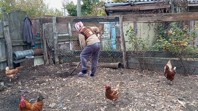 ВДВОЁМ НЕ СКУЧНО, РАБОТЁНКА НАЙДЁТСЯ, КАНАЛ О ЖИЗНИ смотреть онлайн