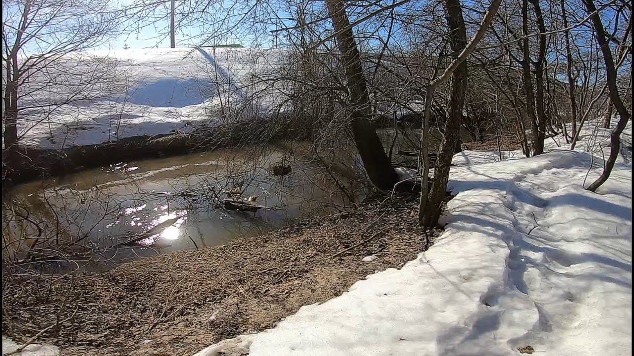 Карась на Разнесённую Оснастку На Микро-Речке. смотреть онлайн