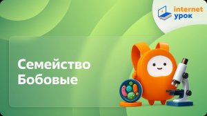 Биология 6 класс. Семейство Бобовые