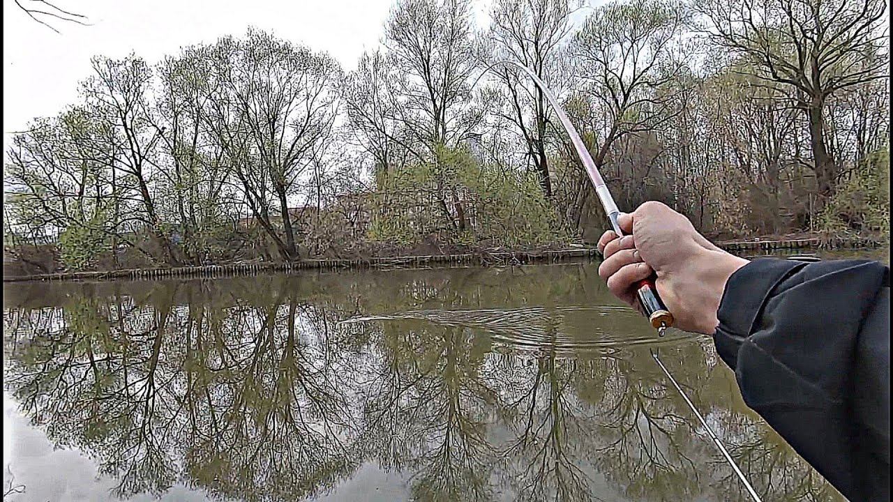 Чеснок по Холодной Воде.Толстые Караси на Червя.Рыбалка Весной На Поплавок. смотреть онлайн