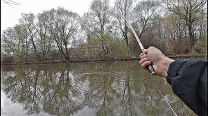 Чеснок по Холодной Воде.Толстые Караси на Червя.Рыбалка Весной На Поплавок.