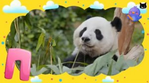 Алфавит для детей - Алфавит про животных - Для самых маленьких - Для детей