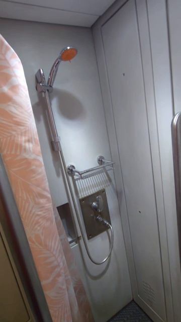 Покупаем билеты на поезд