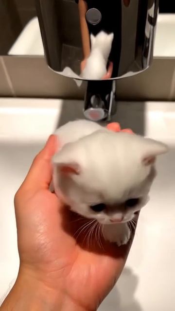 AQP8KVOfr4p780hbOwQ6I7zbLNzKZnBWLm02_vwaoBryo8r6UqJFyZ7DD1rh_8XmPZfoFqd5ek24xrSxXuNZZyY875S7_uIzxdn5