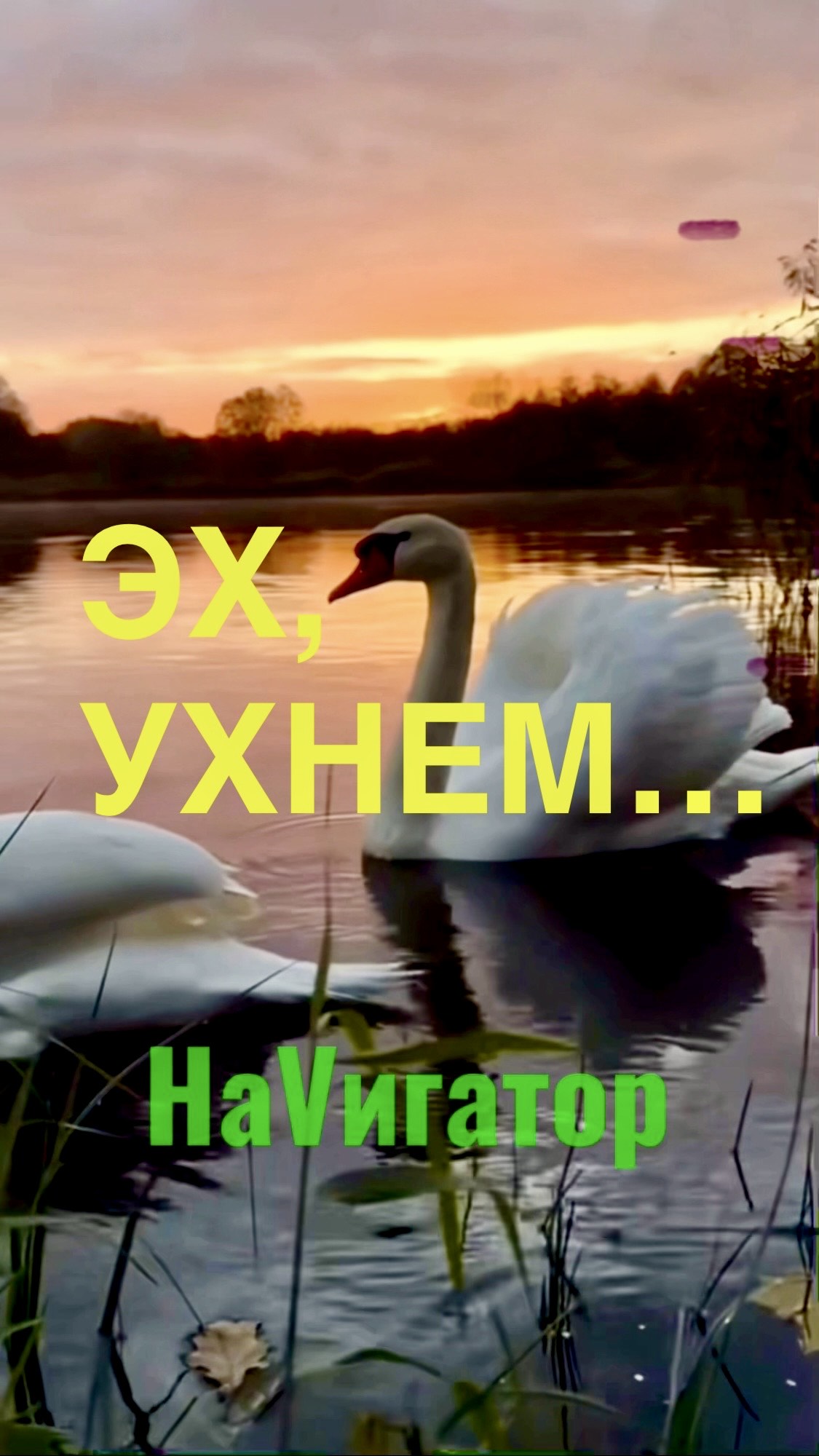 ЭХ, УХНЕМ! МАТРИЦОнавтам ПОСВЯЩАЕТСЯ. #менеджмент, #лабораторныйчат